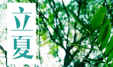 九五至尊VI-老品牌值得信赖!