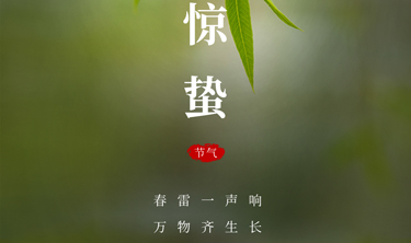 九五至尊VI-老品牌值得信赖!