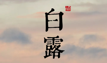 九五至尊VI-老品牌值得信赖!