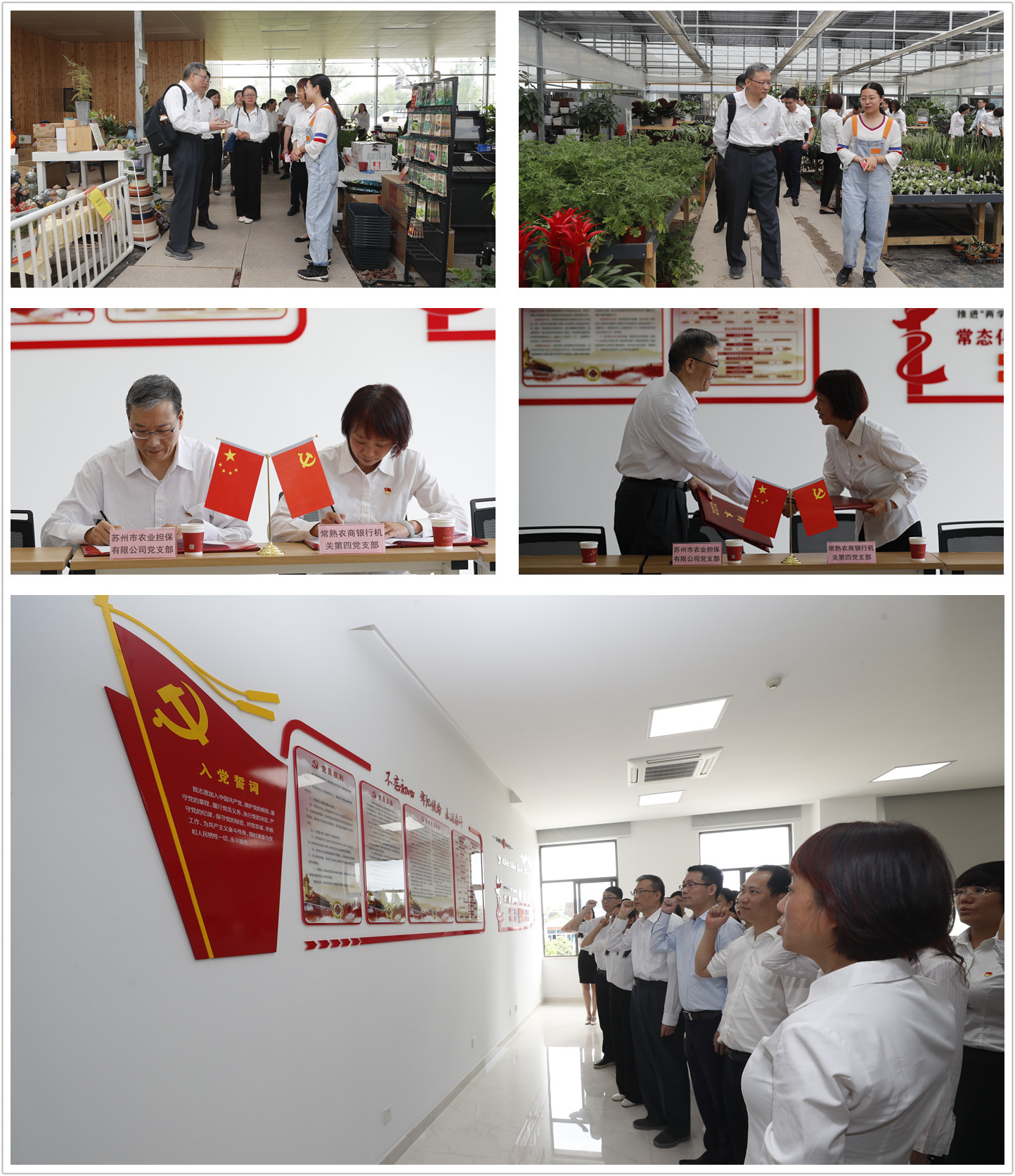 8daa1ba27ca6fa7837a8c0ebe7b1ce08 拼图0530.jpg